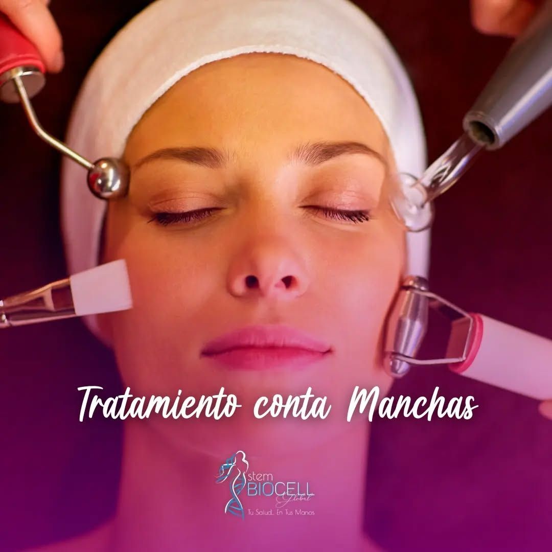 Stem Biocell Global - Image 3