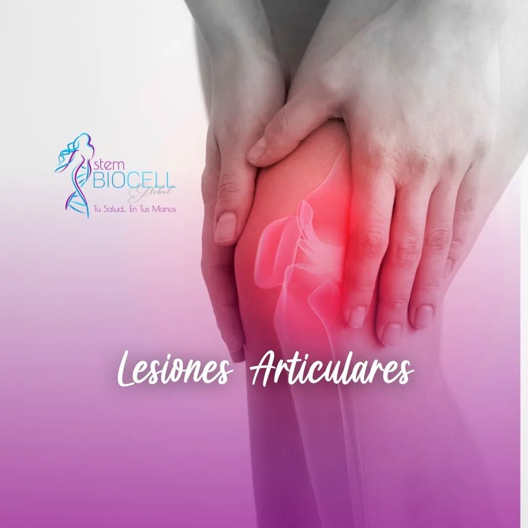 Stem Biocell Global - Image 5