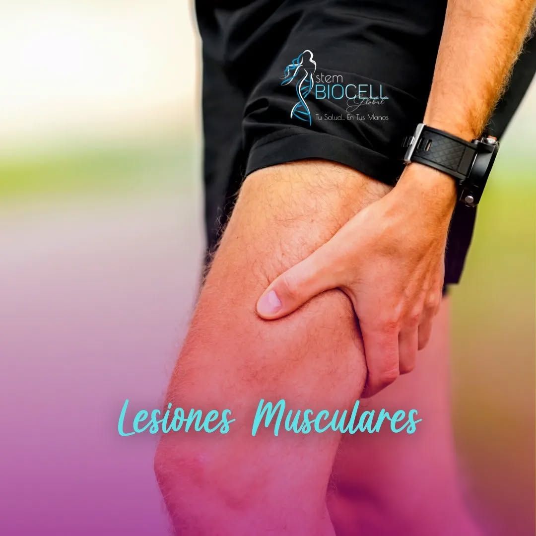 Stem Biocell Global - Image 7