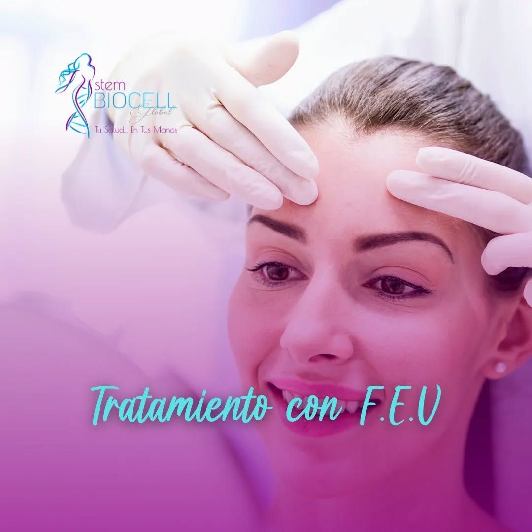 Stem Biocell Global - Image 8