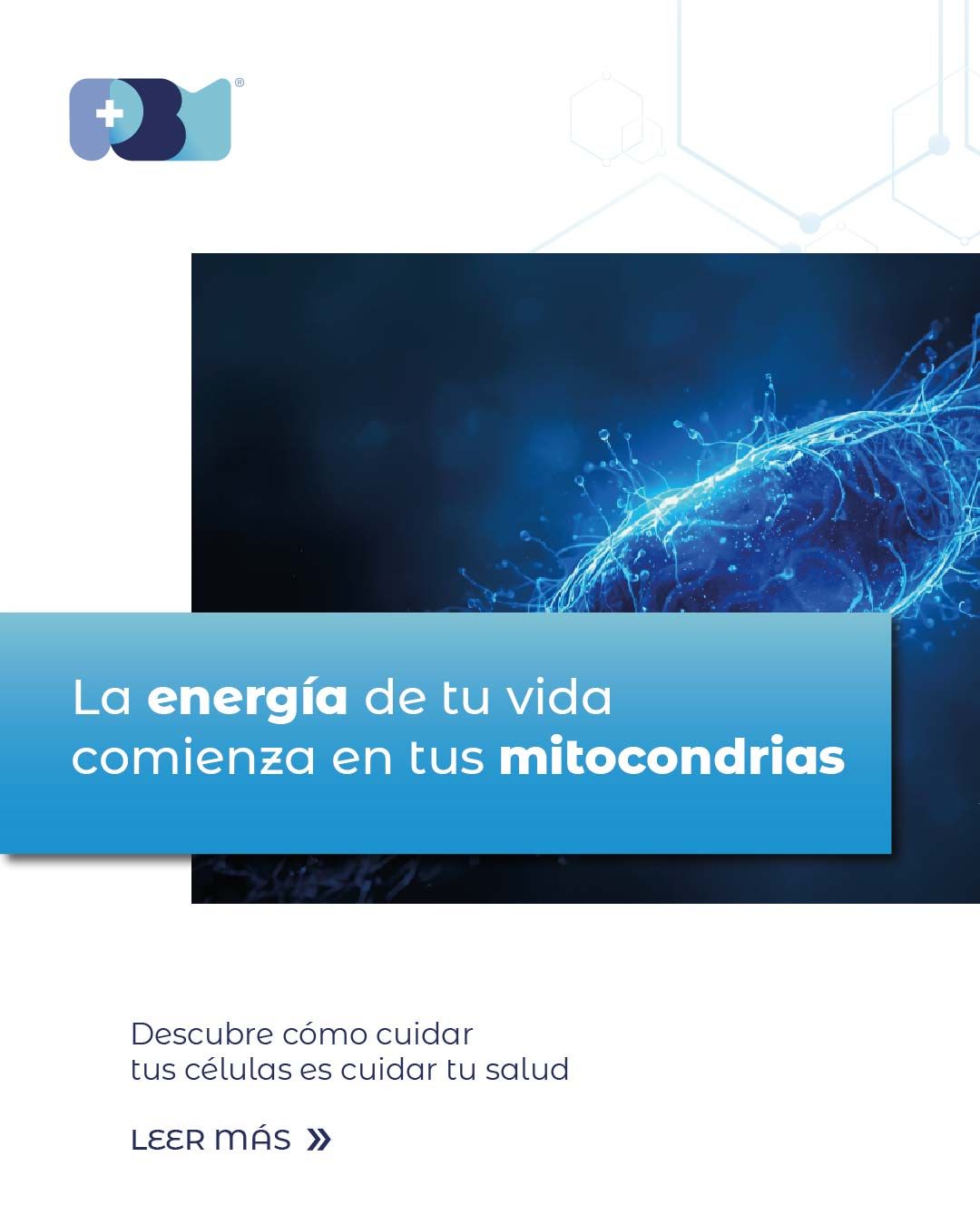 PBM Hospital - Image 2