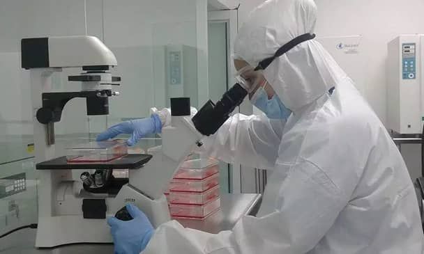 Institute of Cellular Therapy - Stem Cell - Image 4