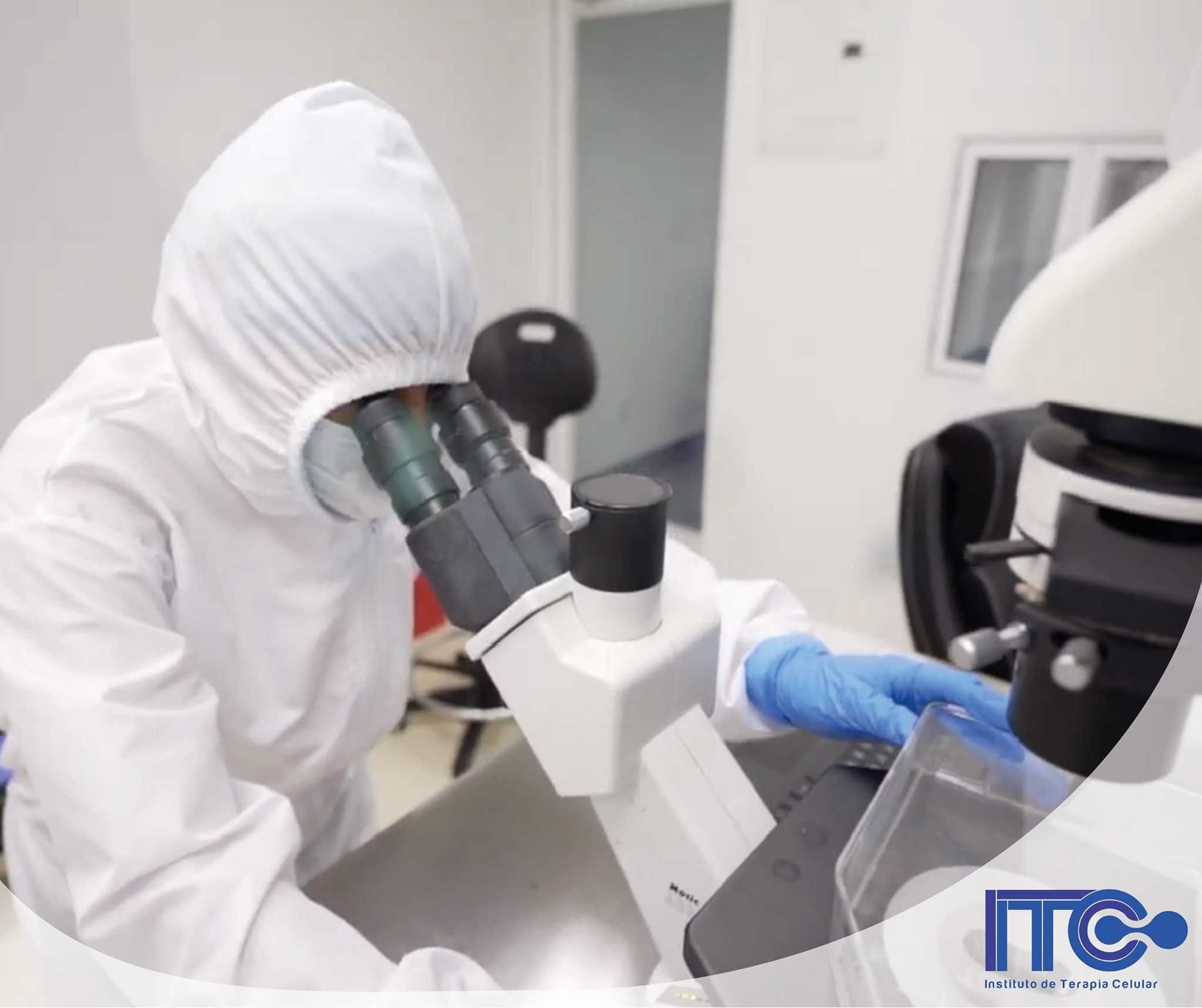 Institute of Cellular Therapy - Stem Cell - Image 2