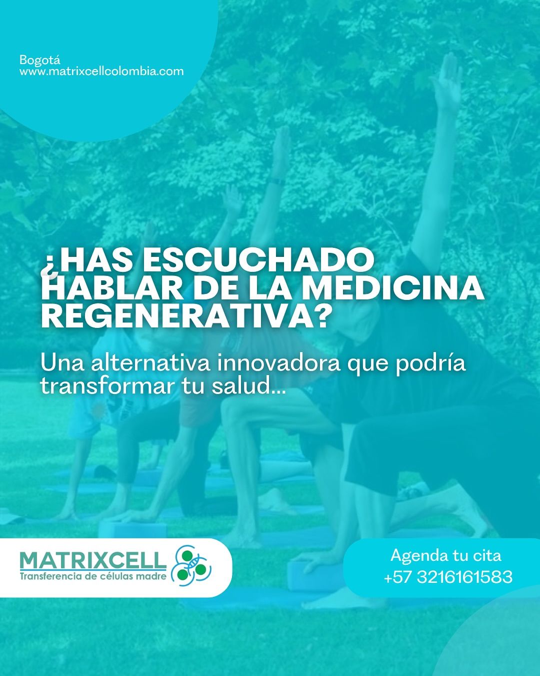 MatrixCell - Image 2