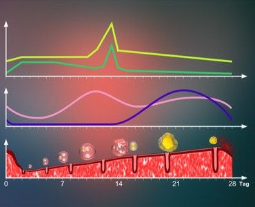 AZ SwissClinic AG - Image 4
